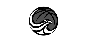 basketballillawara-3-300x146